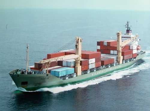 Export-ready cocopeat blocks